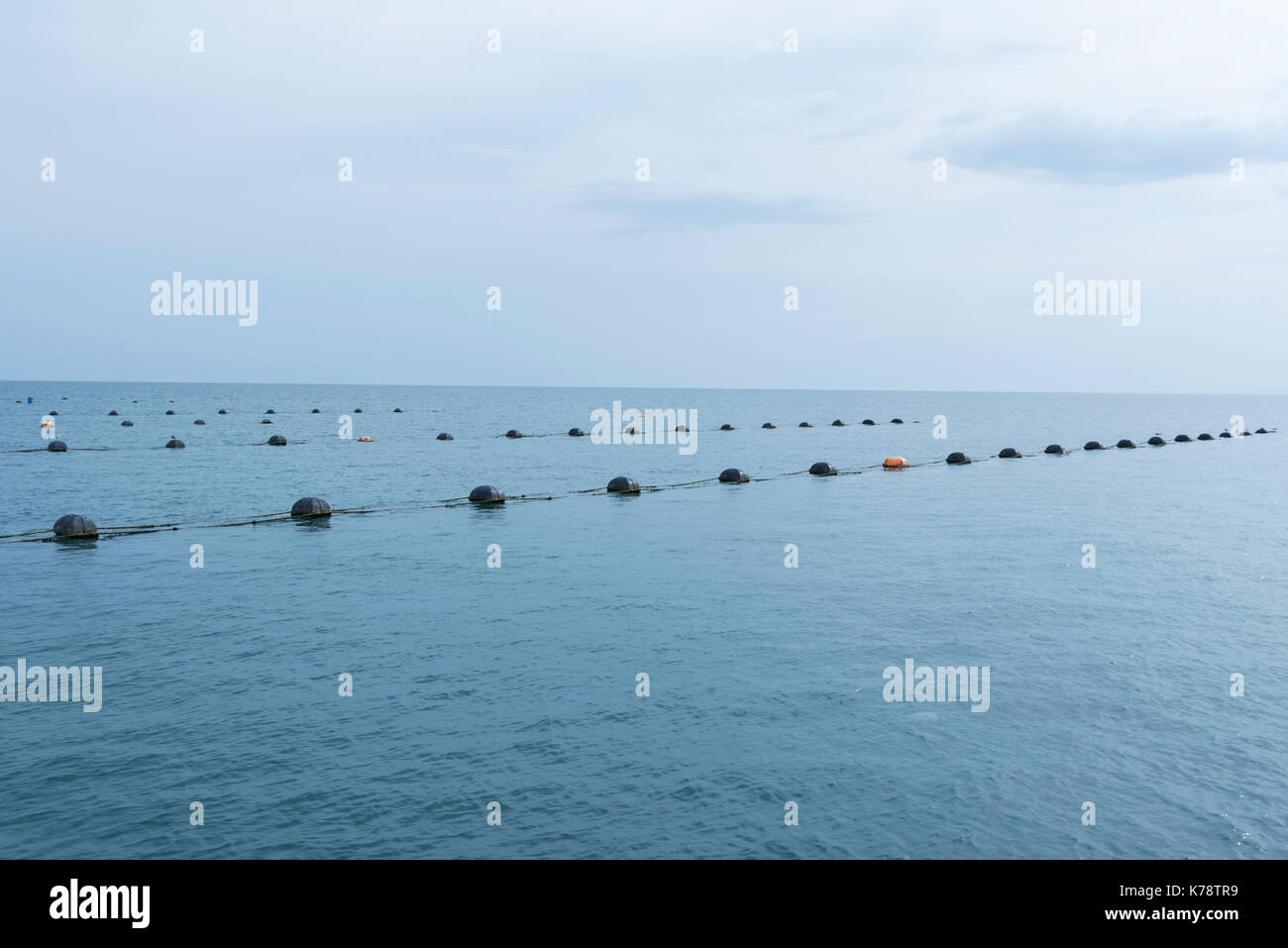 Sea Food Mussel Farm Water Birds Stock Photo