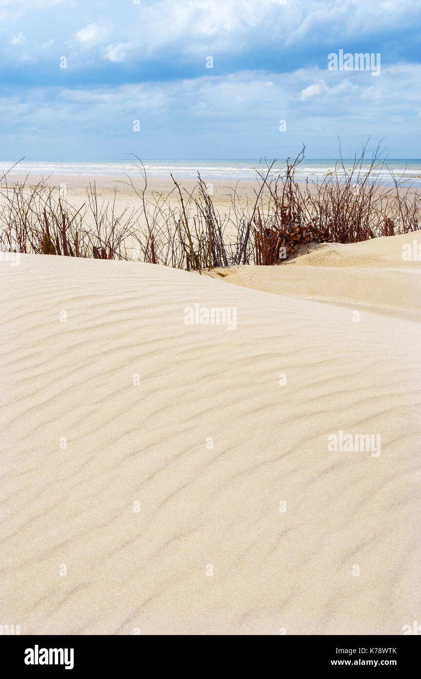 Vertical photograph of sand dunes with sand ripples inside the Westhoek nature reserve by the North Sea near De Panne, Belgium. Stock Photo