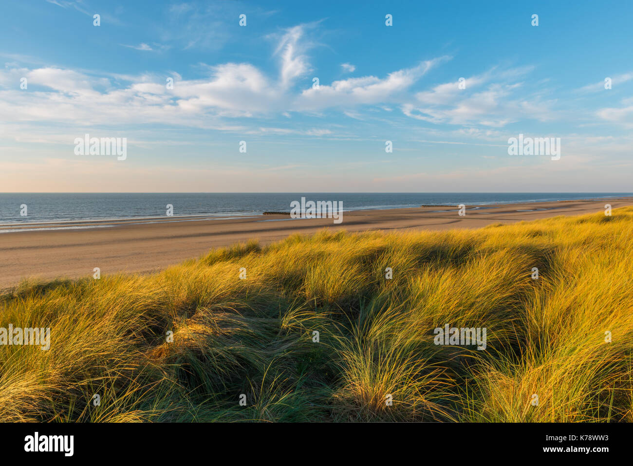 Sunset in the beautiful sand dunes of Ostend with a view over the North Sea and the beach on a summer evening, Belgium. Stock Photo