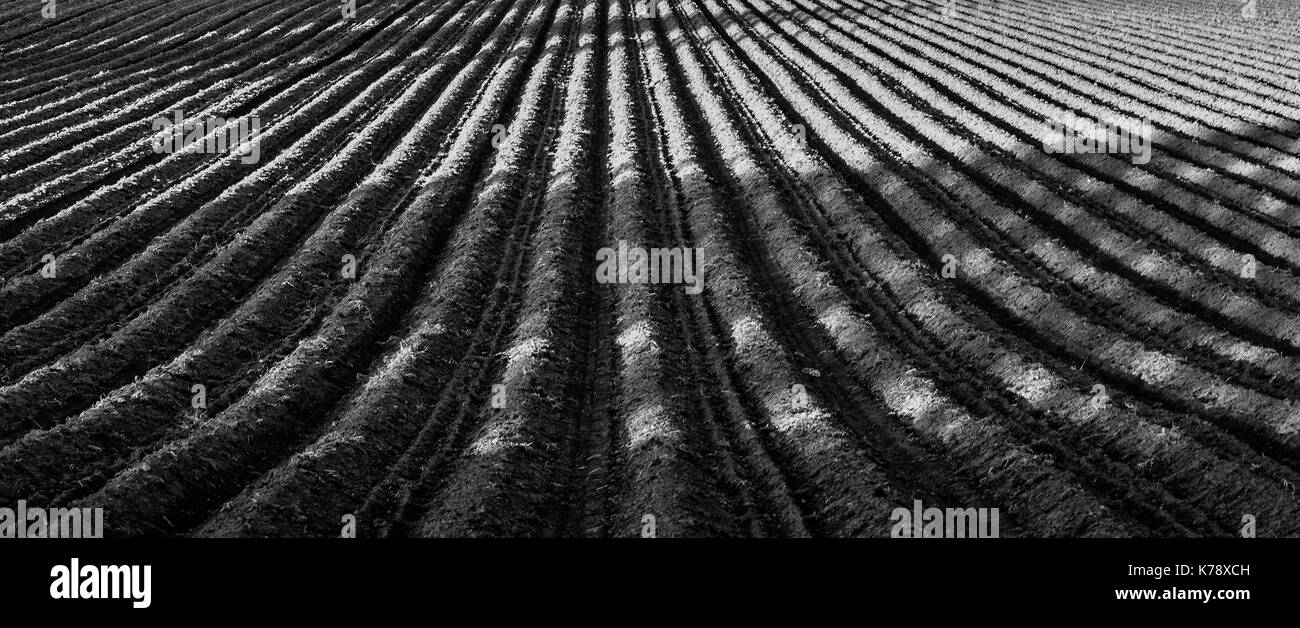 found this field where the farmer had just planted.. love all those lines.. Stock Photo
