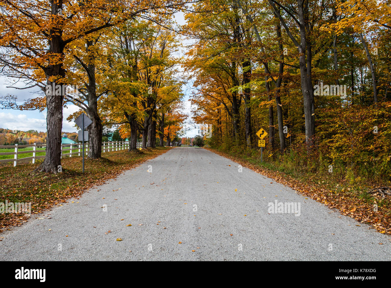 just a pretty country road I found on my travels around the country during autumn Stock Photo