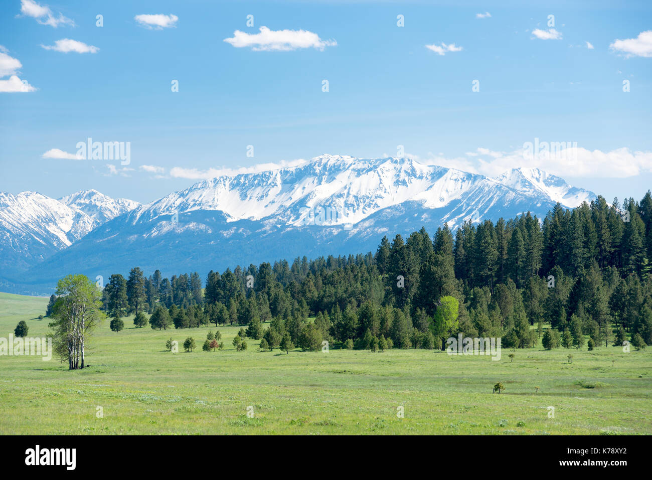Trout Creek valley and the Wallowa Mountains, Northeastern Oregon Stock Photo Alamy