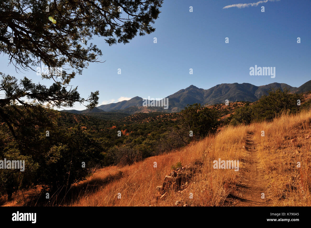 Gardner Canyon, Santa Rita Mountains, Coronado National Forest, Sonoita, Arizona, USA. Stock Photo