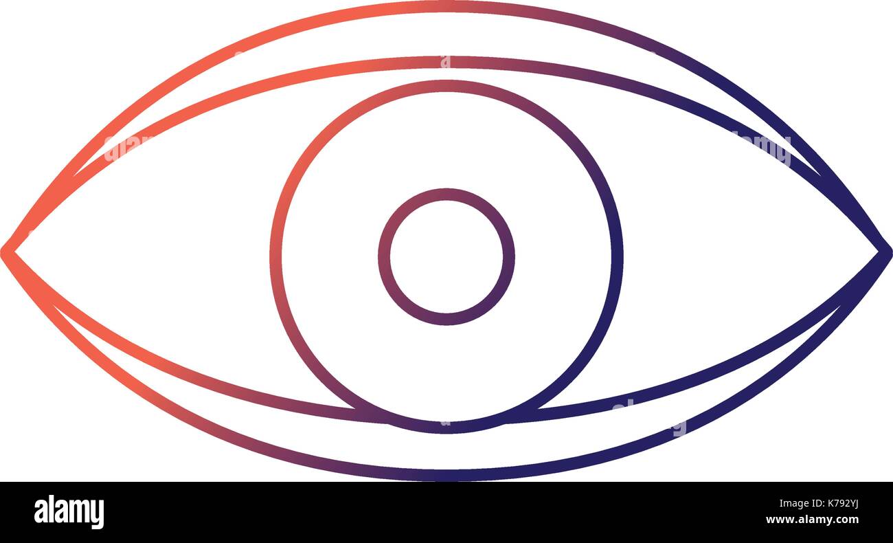 eye human anaomy to optical graphic Stock Vector Image & Art - Alamy