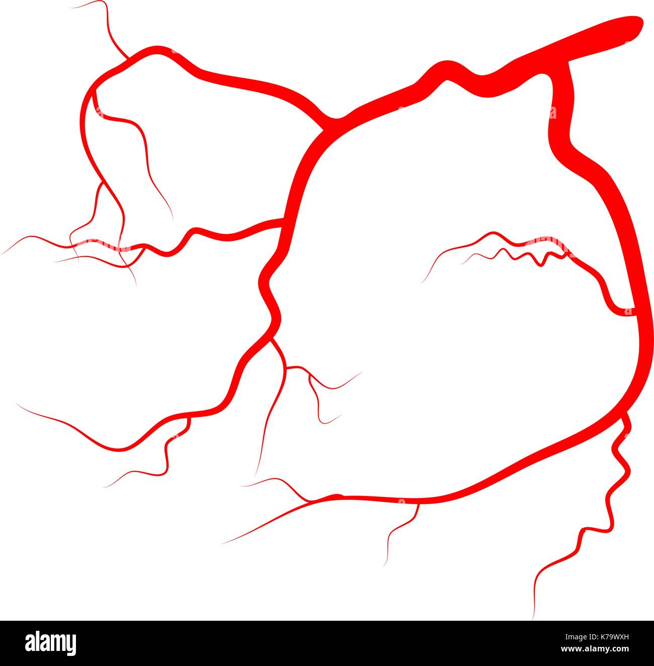 eye vein vector symbol icon design. Beautiful illustration isolated on