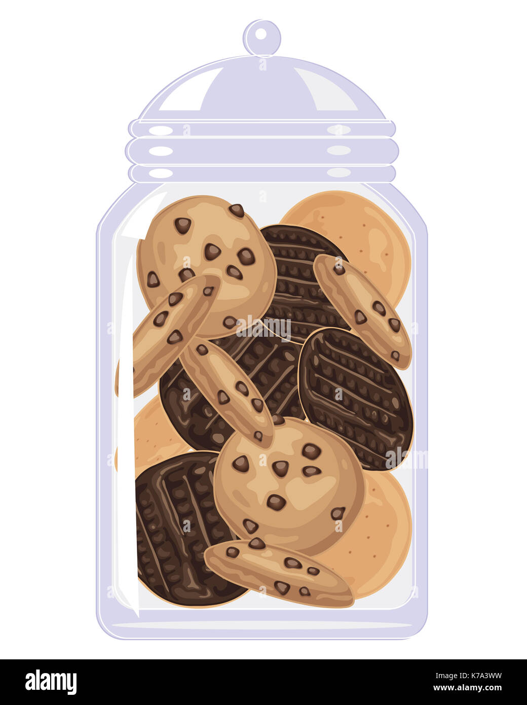 an illustration of a clear glass jar full of chocolate digestives and