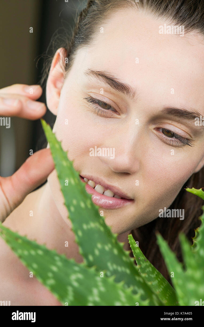 Young Aloe Vera Plant Stock Photos Young Aloe Vera Plant Stock