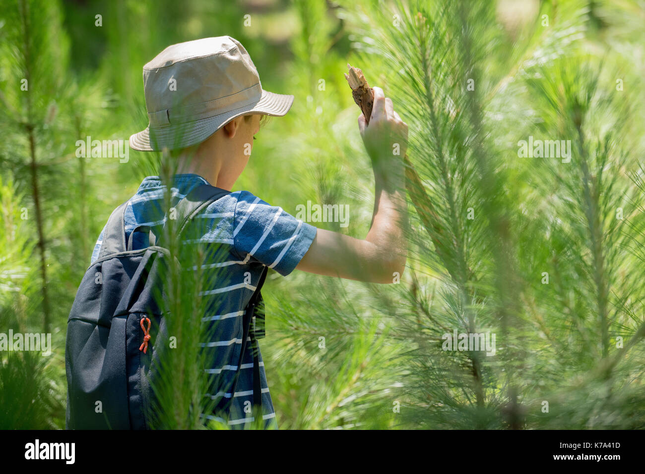 Boy hiking in woods Stock Photo