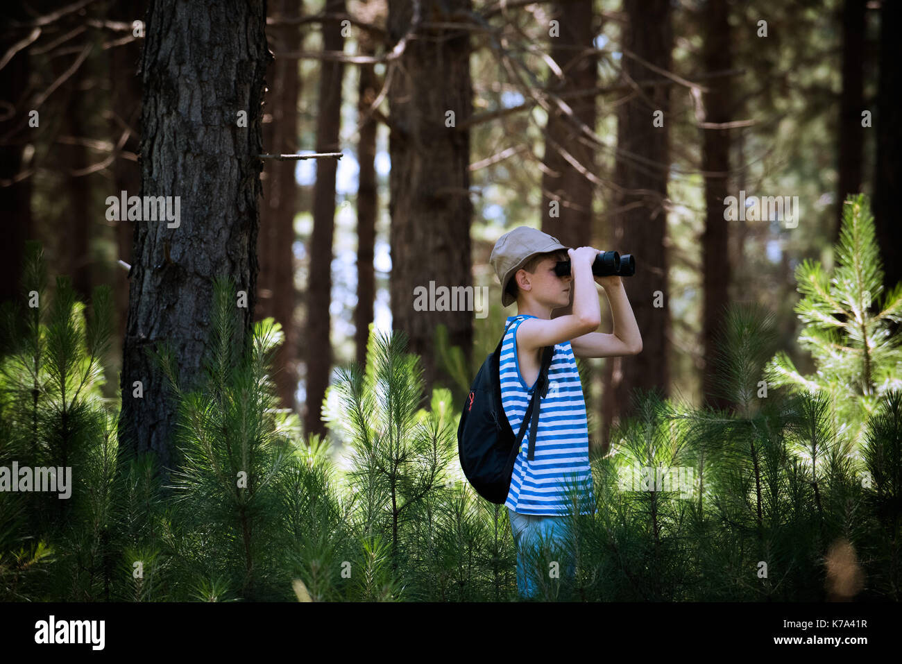 Boy looking through binoculars in woods Stock Photo