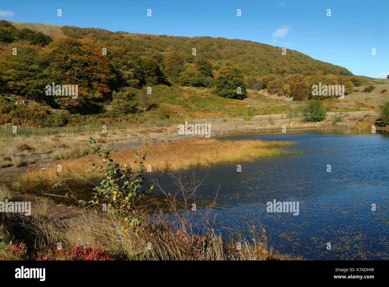 Cwmtillery Reservoir formally the Cwmtillery Colliery site near