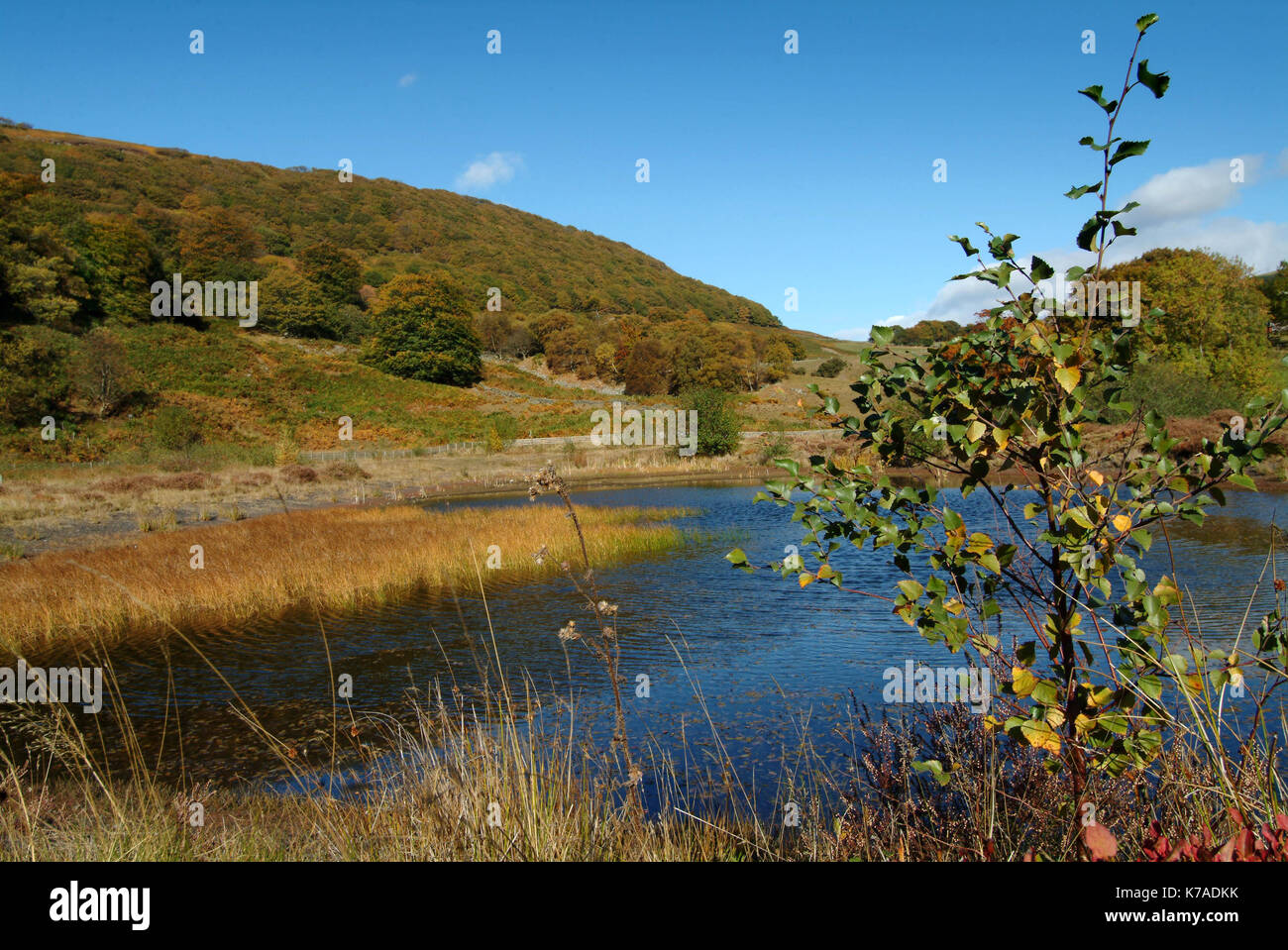 Cwmtillery Reservoir formally the Cwmtillery Colliery site near