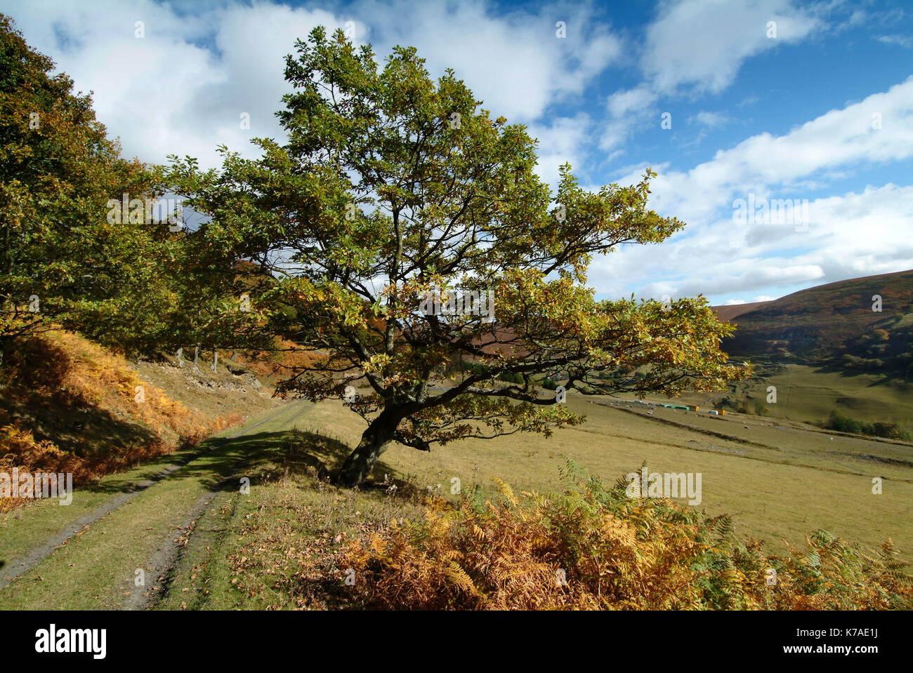 Cwmtillery Reservoir formally the Cwmtillery Colliery site near