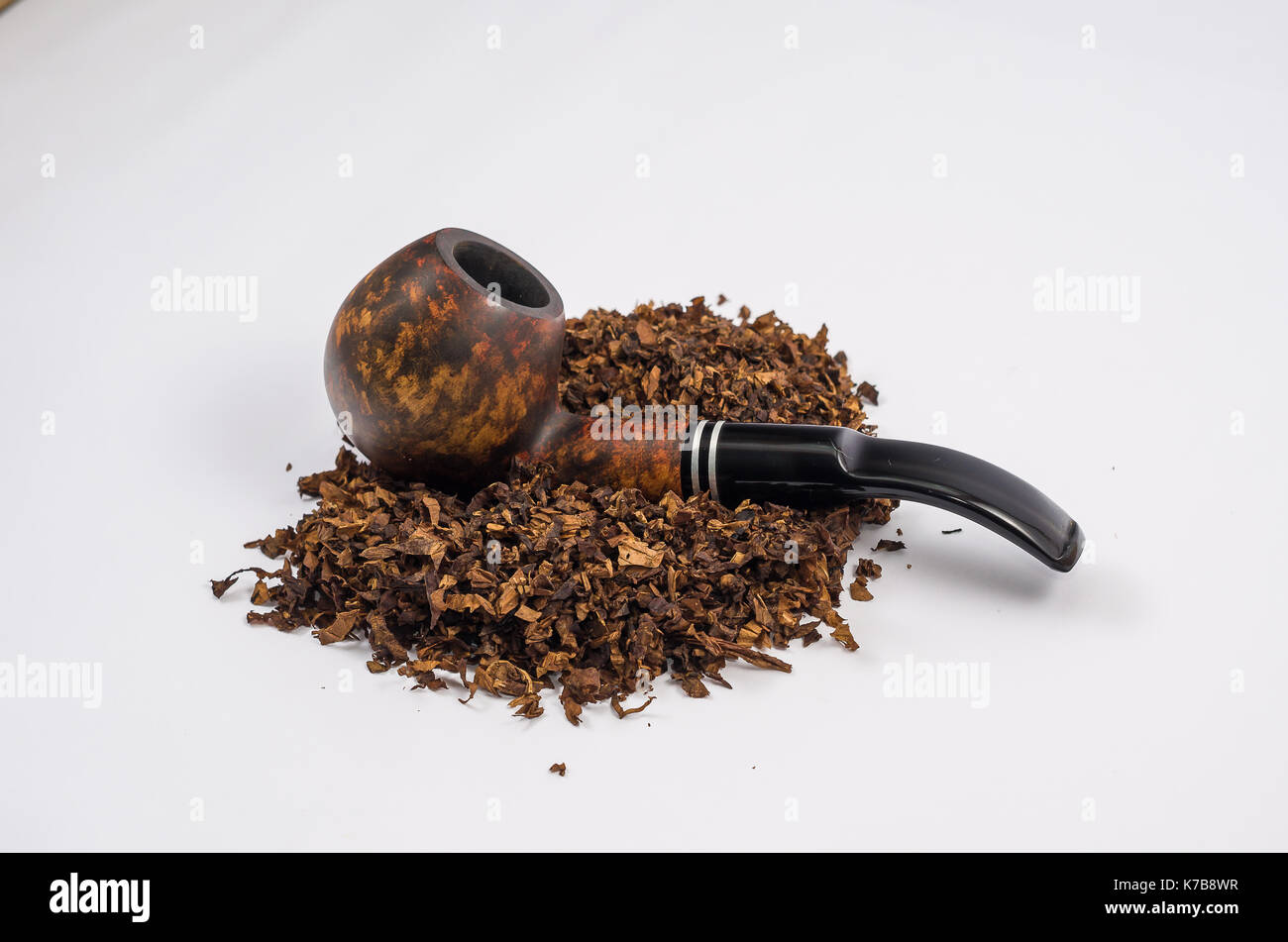 pipe tobacco seeds Smoking Ohio Dutch is classified as a cigar filler but also makes an excellent pipe tobacco. tobacco seeds organic Tobacco, Rapa