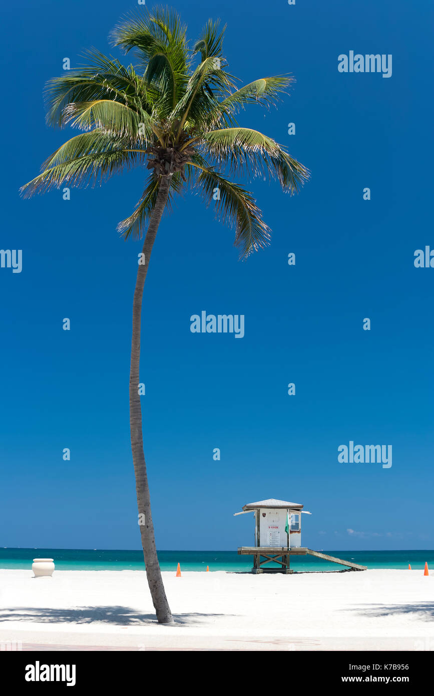 Single palm tree and lifeguard hut station in Hollywood Beach, Broward County, Florida, USA. Stock Photo