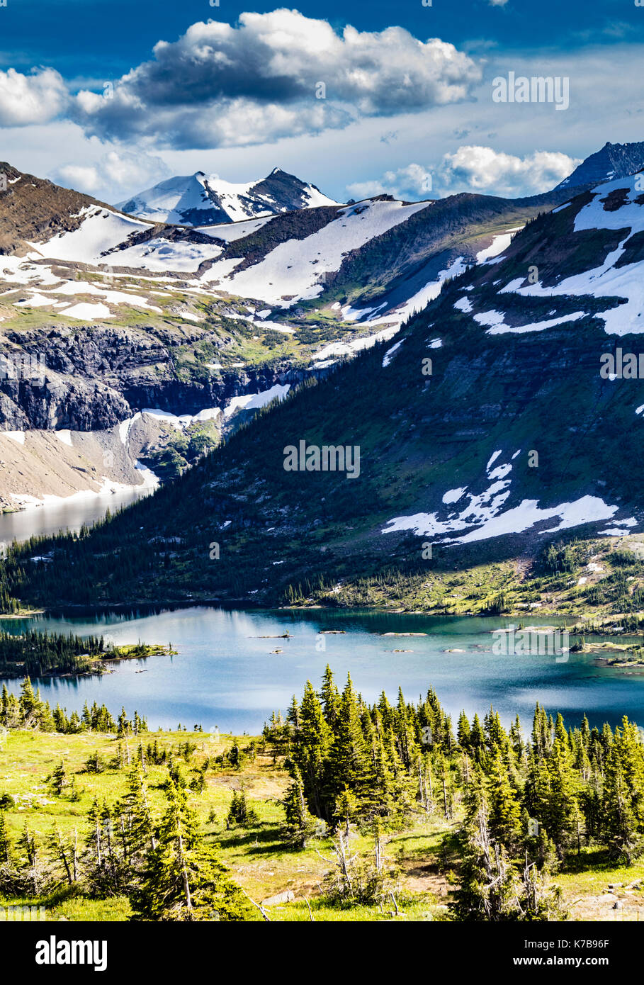 Wildlife wild flowers glacier national park landscapes Stock Photo - Alamy