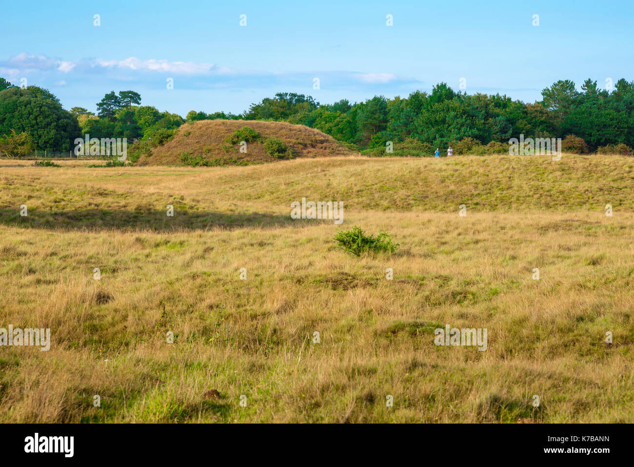 Sutton Hoo burial mound Suffolk, view of large Anglo Saxon burial mound at Sutton Hoo, Suffolk, England, UK. Stock Photo