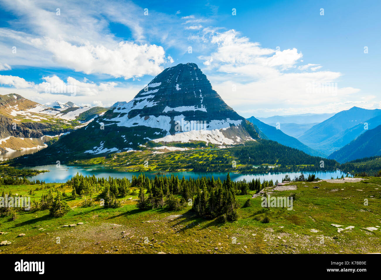 Wildlife wild flowers glacier national park landscapes Stock Photo - Alamy