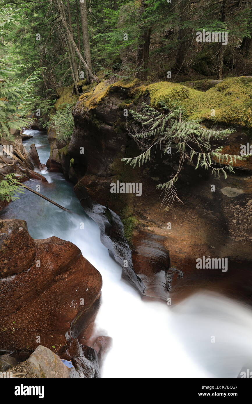 Avalanche Creek Glacier National Park Stock Photo Alamy avalanche-creek-glacier-national-park-stock-photo-alamy