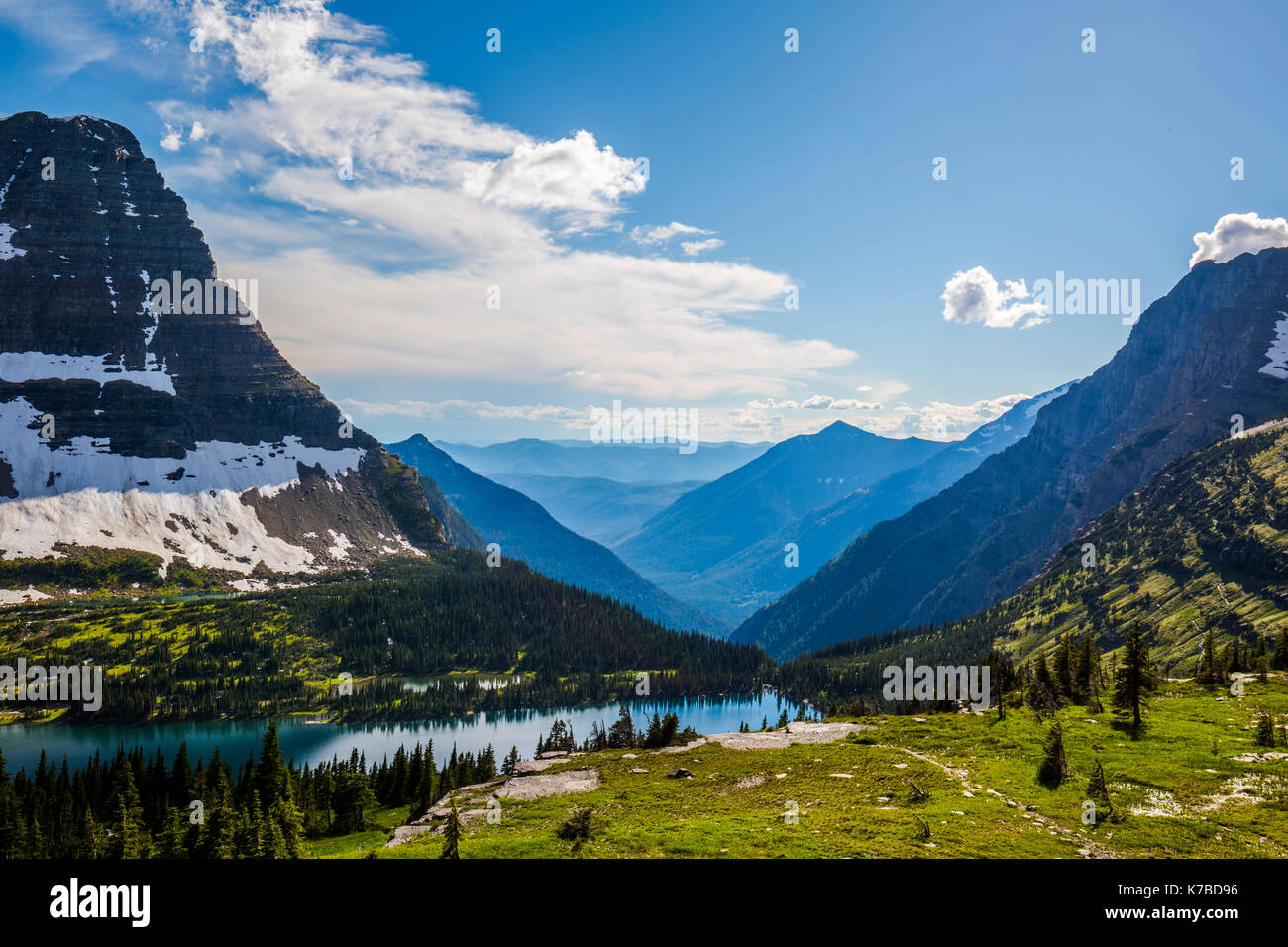 Wildlife wild flowers glacier national park landscapes Stock Photo - Alamy