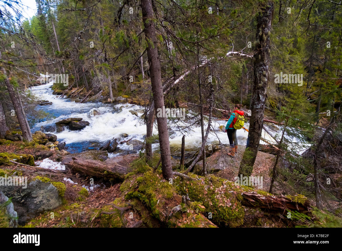 Female hiker looking at view hi-res stock photography and images - Alamy