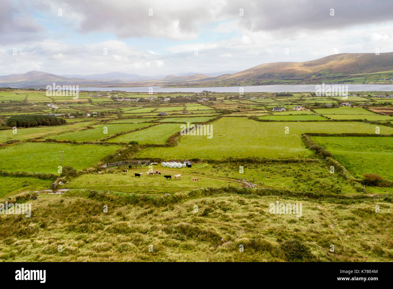 Farmland and fields separated by Hedgerows, Valentia Island, County Kerry, Ireland Stock Photo