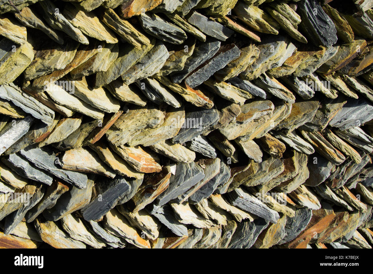 Traditional Cornish herringbone dry stone wall near Fistral beach Cornwall Stock Photo