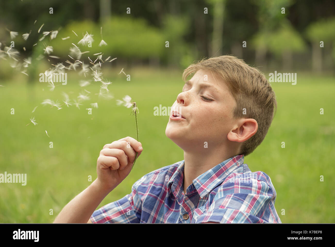Boy blowing a dandelion Stock Photo