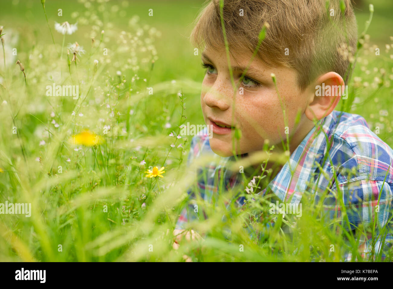 Boy in field of wildflowers Stock Photo