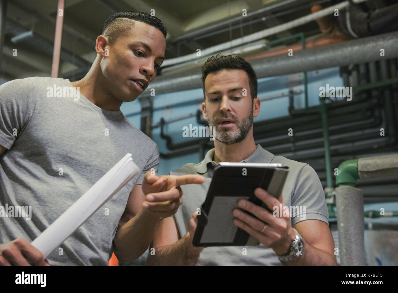 Men working in industrial setting using digital tablet Stock Photo