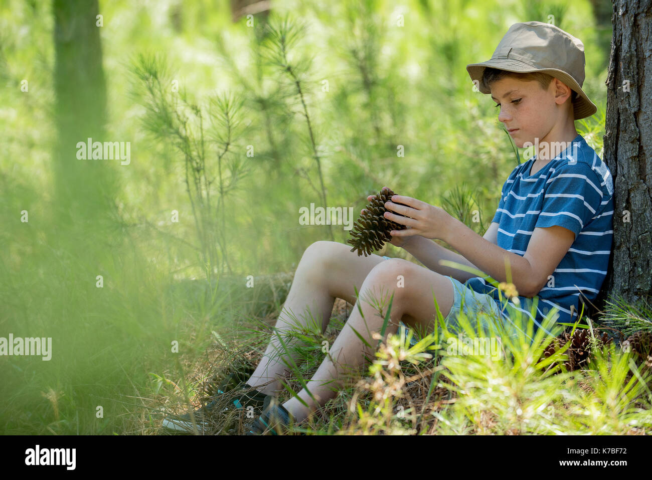 Boy leaning against tree trunk, looking at pine cone Stock Photo