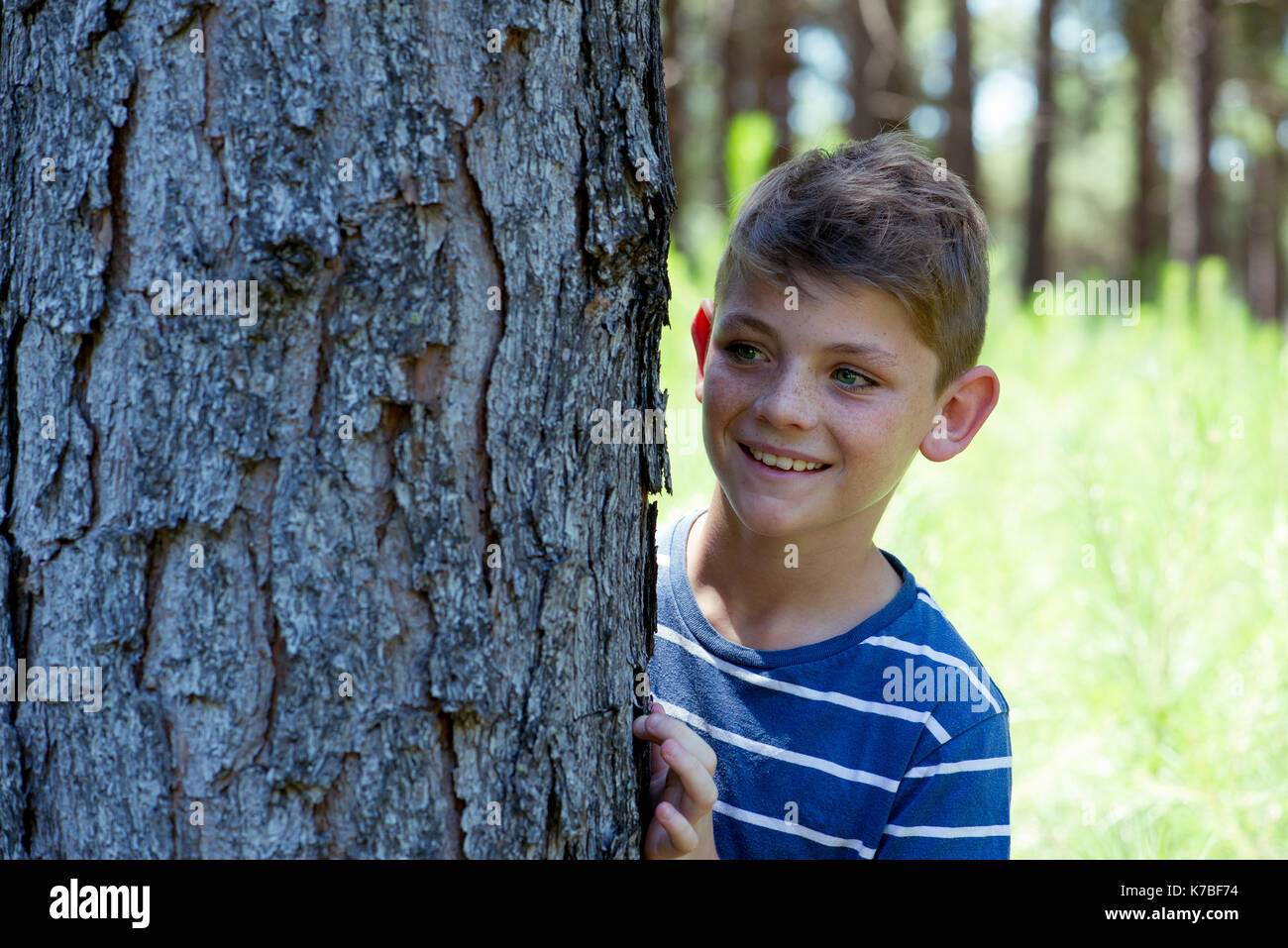 Boy hiding behind tree in woods Stock Photo