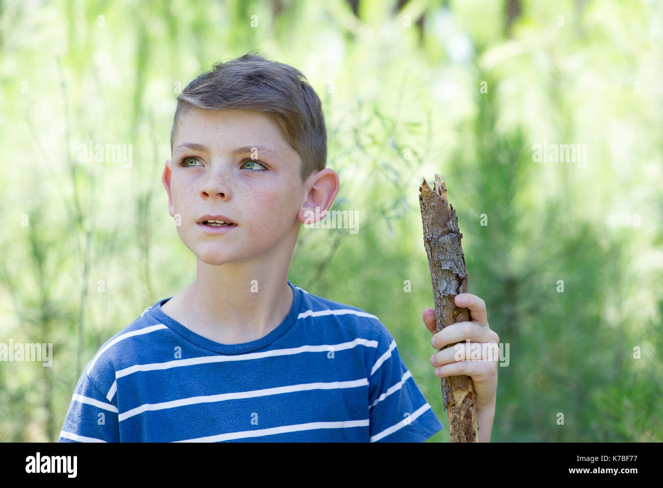 Boy hiking in woods Stock Photo