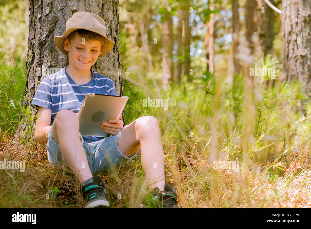Boy using digital tablet in woods Stock Photo