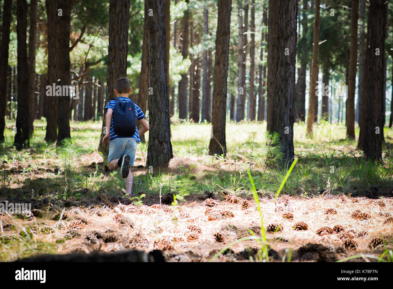 Boy running in woods Stock Photo