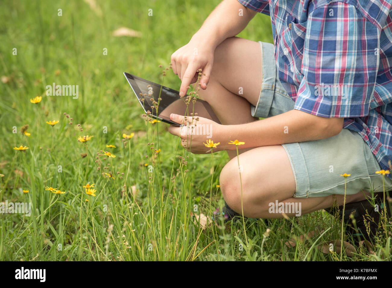 Boy using digital tablet in meadow, cropped Stock Photo