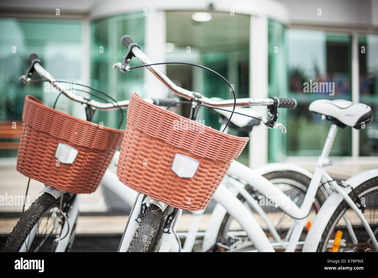 baskets for bicycles