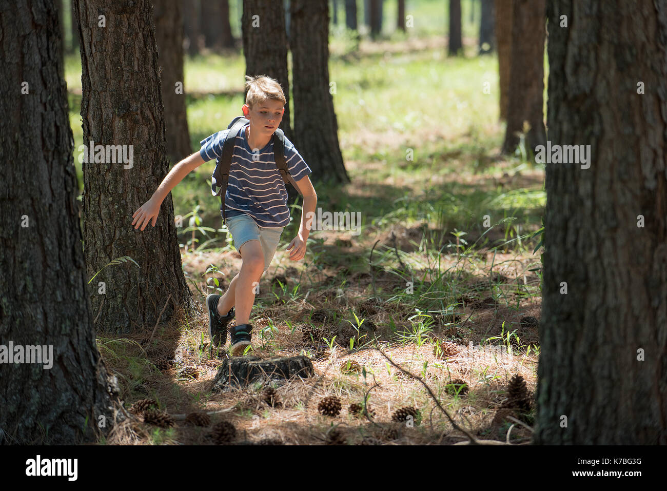 Boy running in woods Stock Photo - Alamy