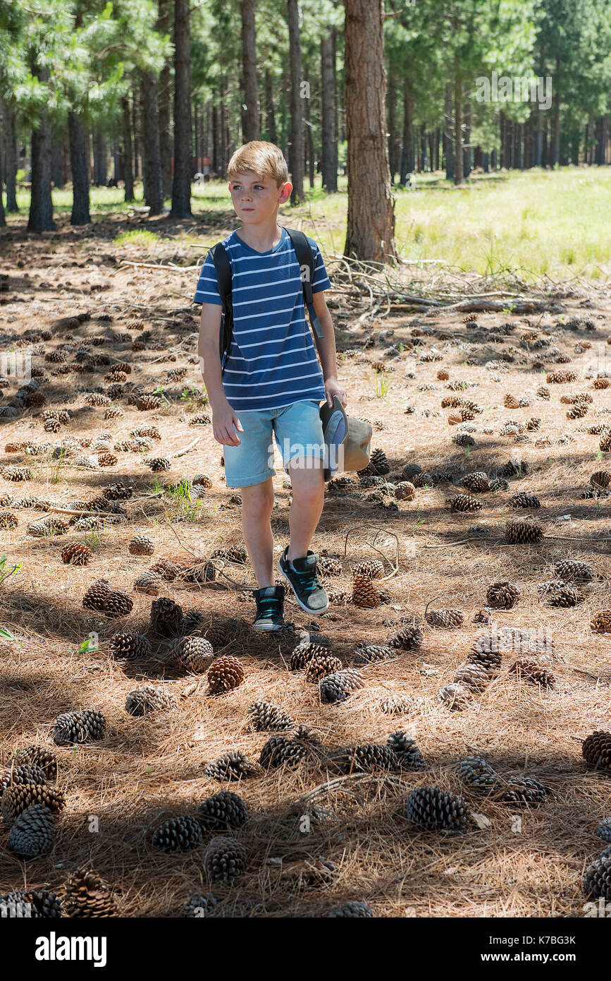 Boy walking in woods Stock Photo
