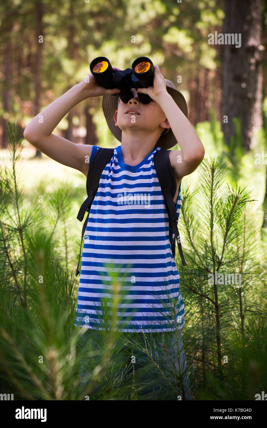 Boy using binoculars in woods Stock Photo
