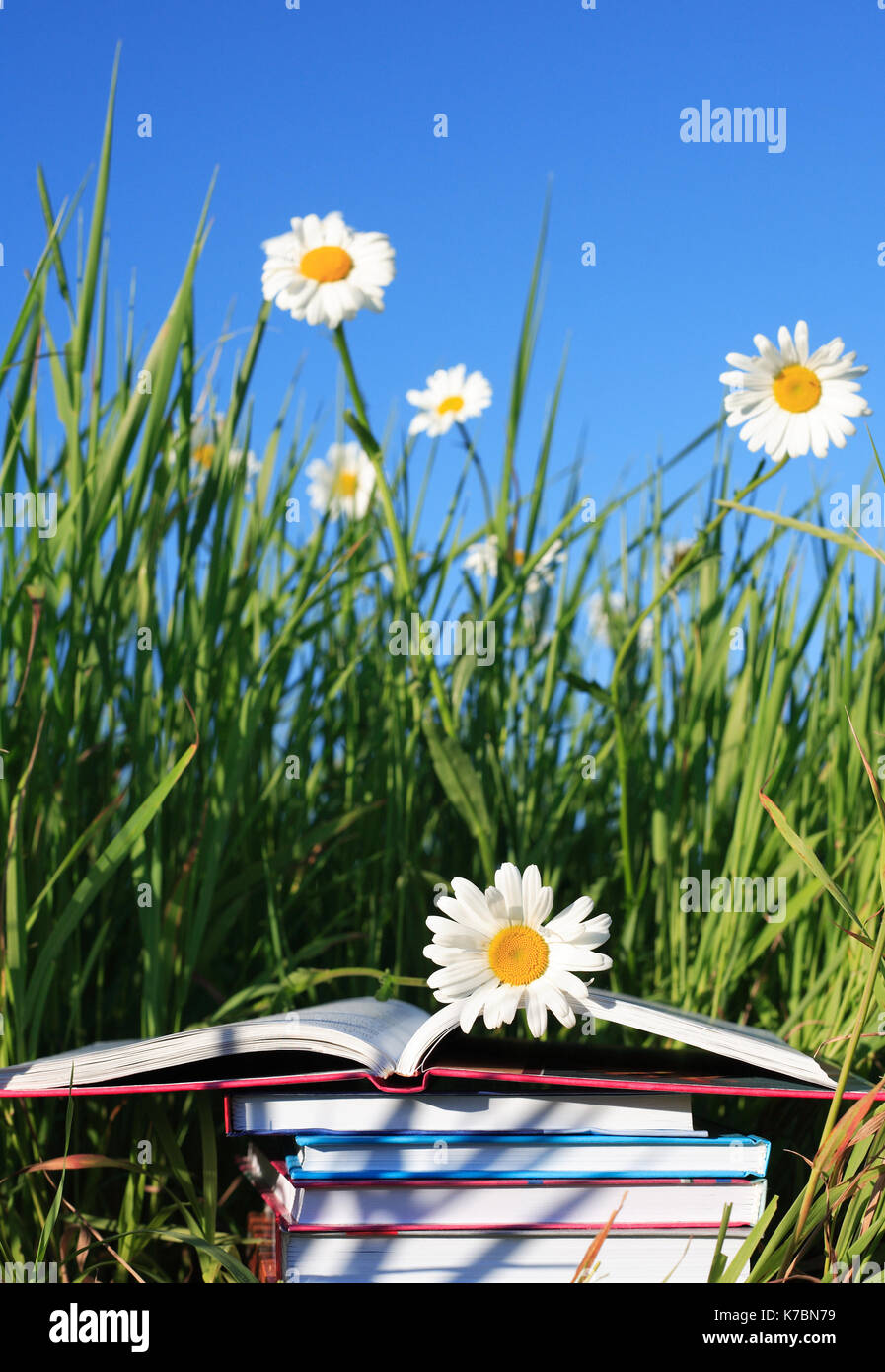 Stack of books on summer background with grass, ox-yey daisy flowers ...