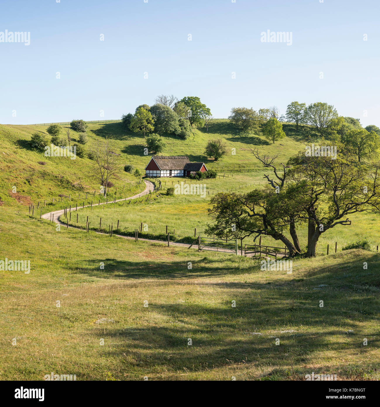 Cottage with thatched roof in pastoral countryside landscape in ...