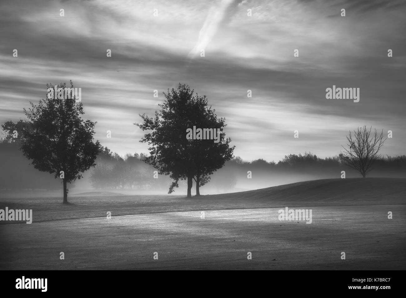 Early foggy fall morning Black and White Stock Photos Images Alamy