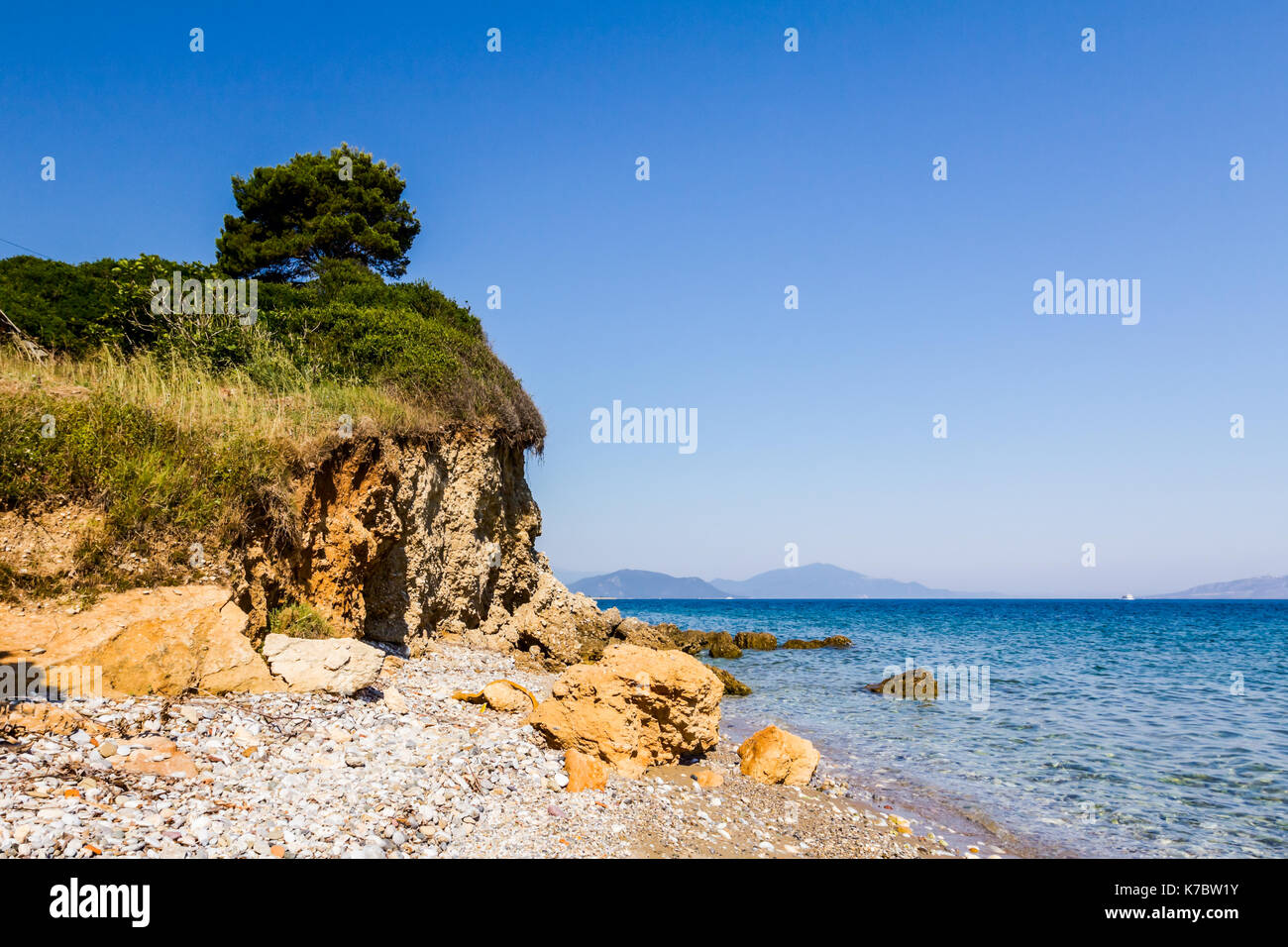 Pine tree is on the top of rocky cliff next to the coastline Stock