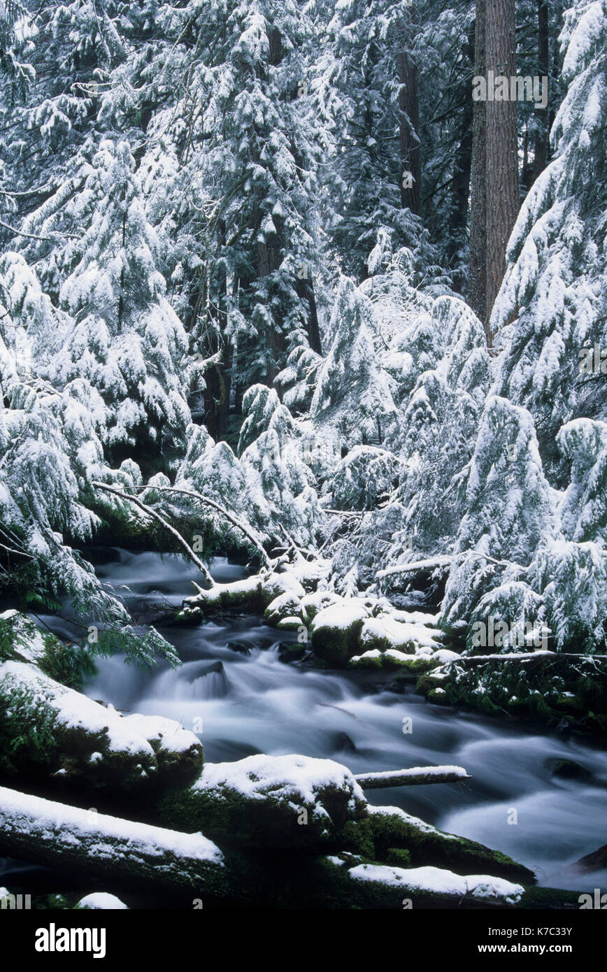 Pamelia Creek with snow, Mt Jefferson Wilderness, Willamette National Forest, Oregon Stock Photo