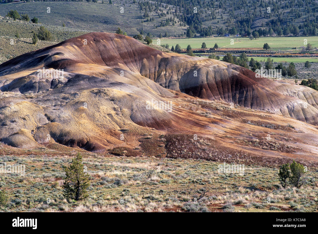 juniper hills juniper hills