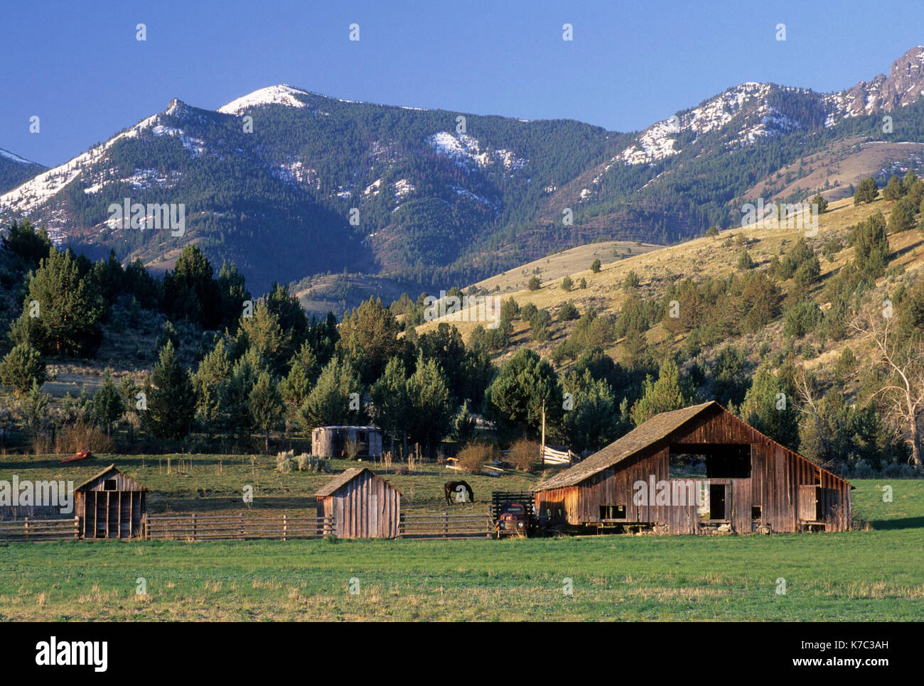 John Day River valley barn, Journey through Time National Scenic Byway, Oregon Stock Photo