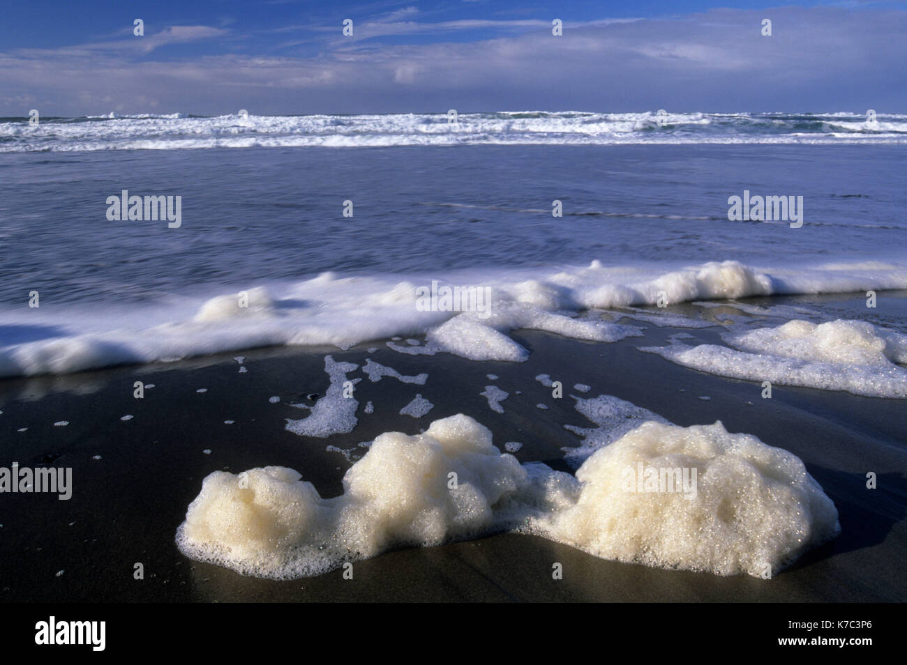 Beach foam, Neskowin Beach State Park, Oregon Stock Photo Alamy