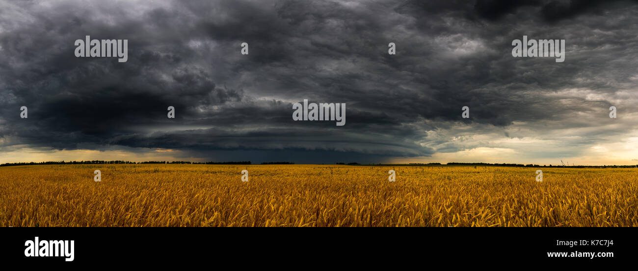 Round storm cloud over a wheat fieldin Russia. Panorama Stock Photo