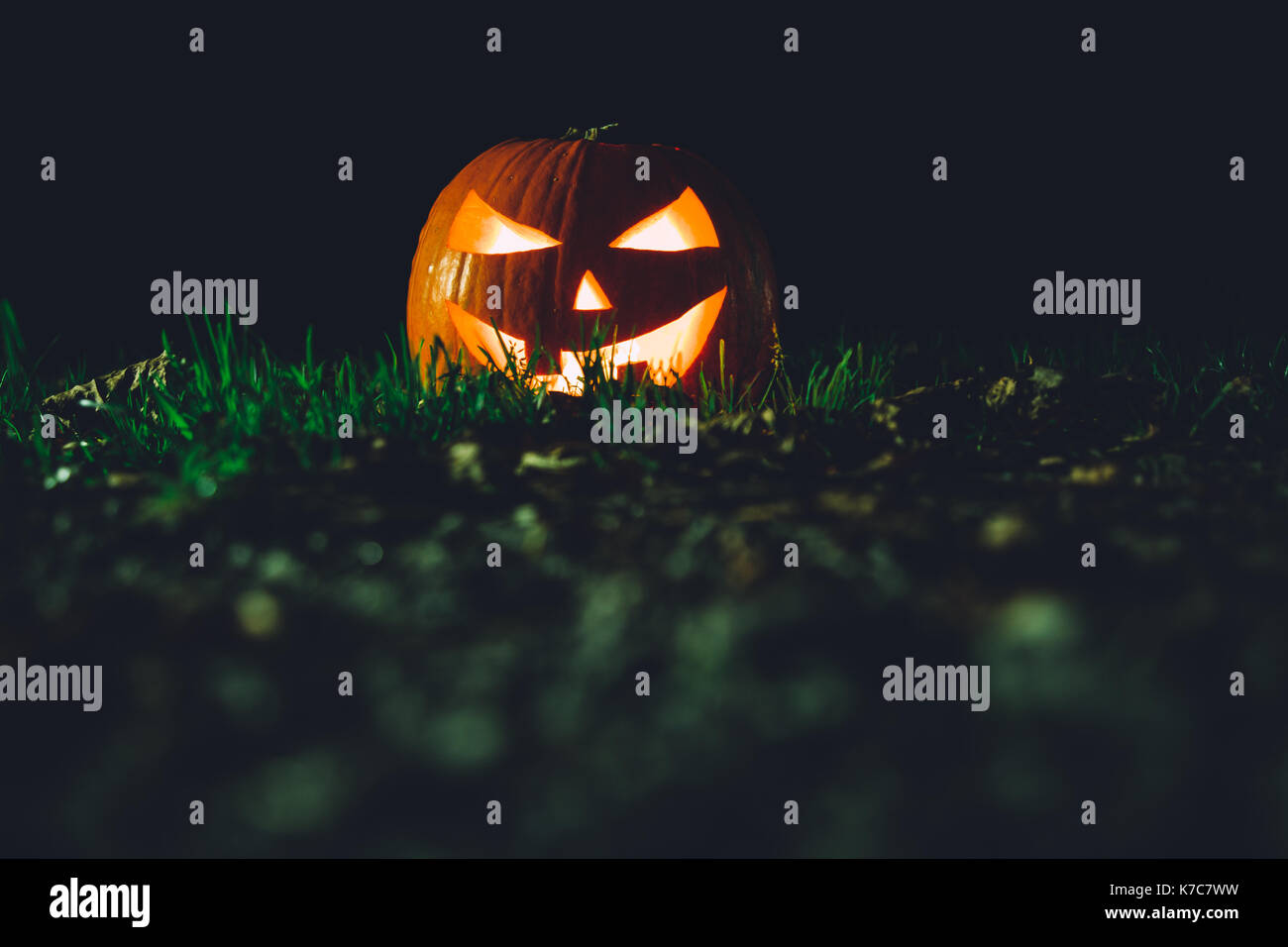 Scary pumpkin on grass hi-res stock photography and images - Alamy
