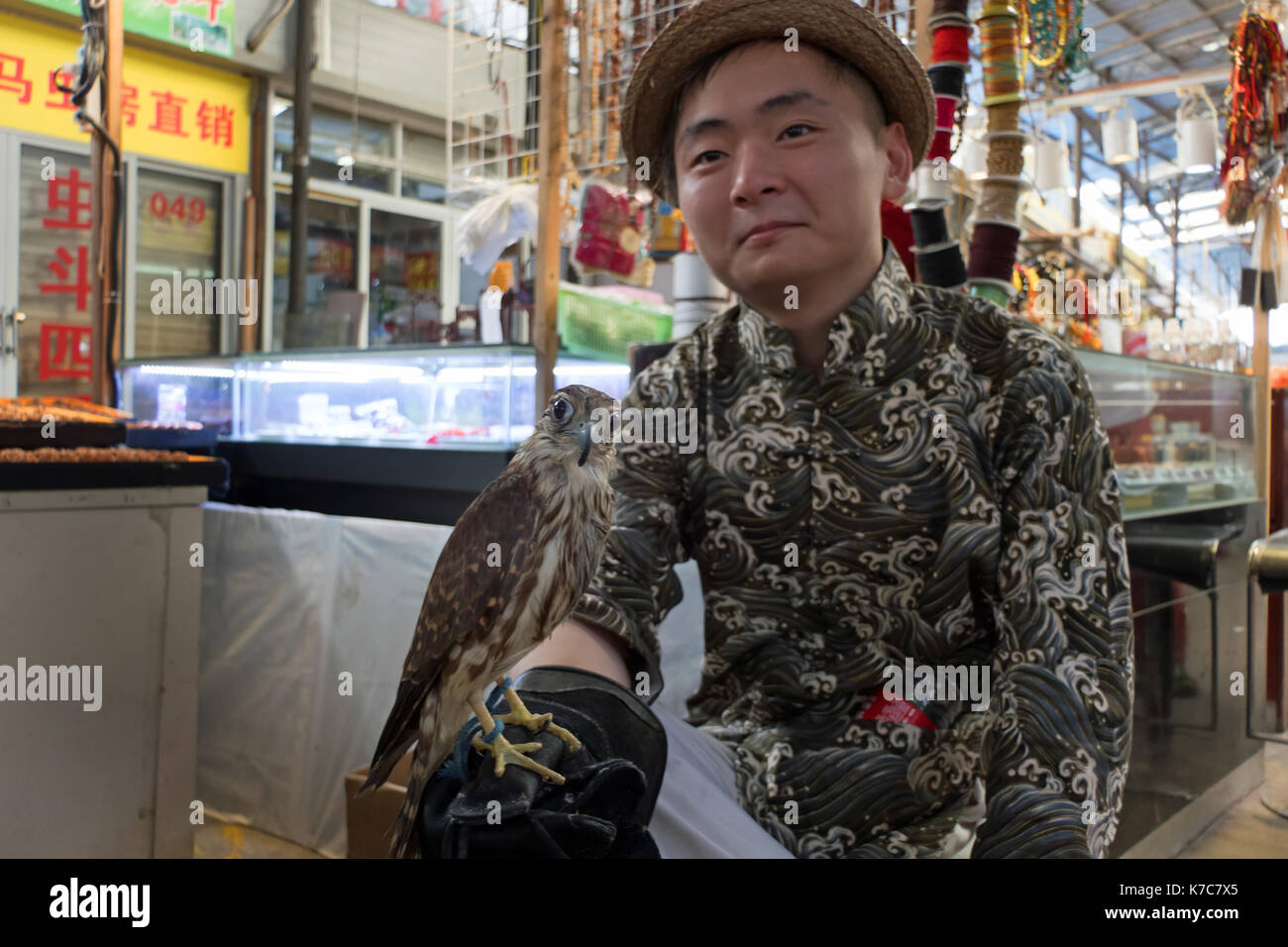 Portrait of a young Chinese man holding a hawk as a pet in a traditional market of Shanghai, China, Asia Stock Photo